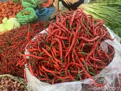 Inflasi Sumut 0,45% November 2023 karena Harga Cabai Makin Pedas