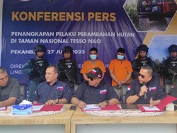 2 Perambah Ditangkap saat Buka Kebun Sawit di Taman Nasional Tesso Nilo