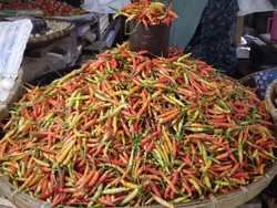 Jelang Idul Adha, Harga Cabai Rawit di Gorontalo Naik Jadi Rp 60.000/Kg