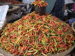 Jelang Idul Adha, Harga Cabai Rawit di Gorontalo Naik Jadi Rp 60.000/Kg Jelang Idul Adha, Harga Cabai Rawit di Gorontalo Naik Jadi Rp 60.000/Kg