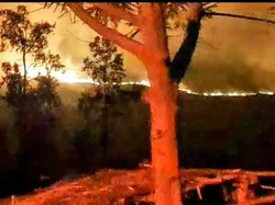 Hutan dan Lahan di Ijen yang Terbakar Diperkirakan Seluas 10 Hektar