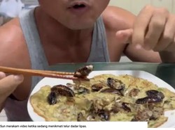 Jijik! Pria Ini Bikin Telur Dadar Topping Kecoak karena Alasan Ini