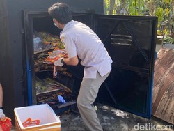 Karantina Pertanian Musnahkan 119 Kg Daging Babi-Sapi Selundupan di Sorong