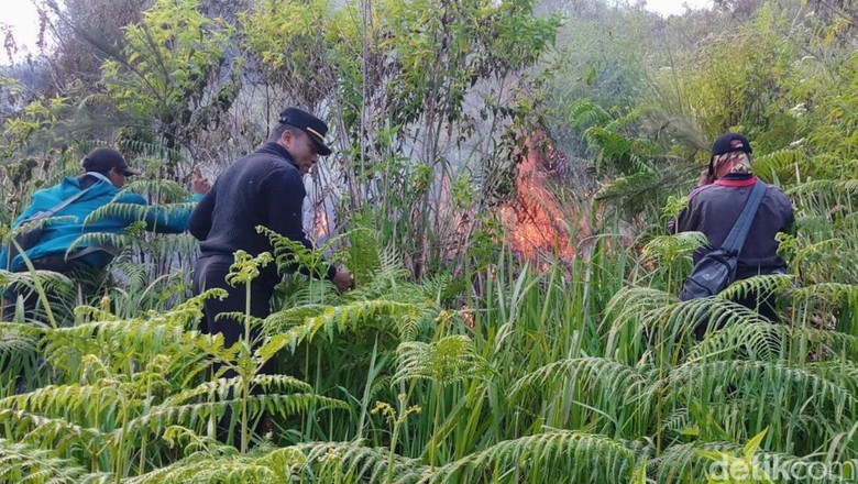 Cerita Perjuangan Tim Pemadam Karhutla Ijen, Begadang hingga Jatuh Terjungkal