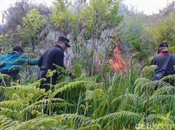 Cerita Perjuangan Tim Pemadam Karhutla Ijen, Begadang hingga Jatuh Terjungkal
