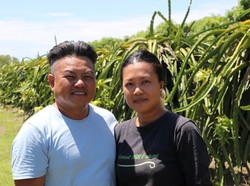 Keluarga Asal Vietnam Awalnya Berlibur di Australia, Akhirnya Beli Kebun Mangga