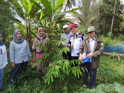 Kementan Targetkan 2.358 Kampung Hortikultura Tersebar Merata