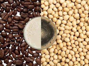 Lembut Gurih Kopi Kedelai Punya Manfaat Ini