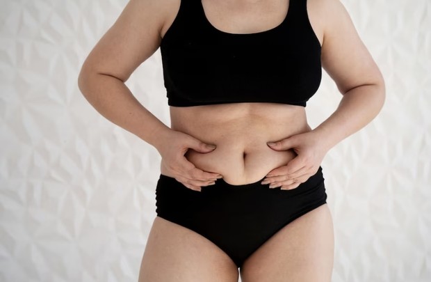 Lemak Menyebabkan Berat Badan Naik