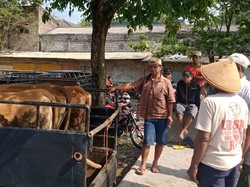 25 Tim Dikerahkan Awasi Kesehatan Hewan Kurban di Klaten