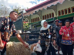Pemkab Klaten Kurban 13 Ekor Sapi dan 42 Ekor Kambing