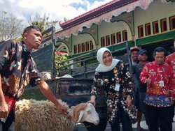 Pemkab Klaten Kurban 13 Ekor Sapi dan 42 Ekor Kambing