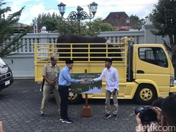 Sapi Black Bos Jokowi Dikurbankan di Tepus Gunungkidul