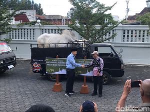 Gubernur-Wagub DIY Kurban 7 Sapi, Ini Daftar Masjid Penerimanya Gubernur-Wagub DIY Kurban 7 Sapi, Ini Daftar Masjid Penerimanya