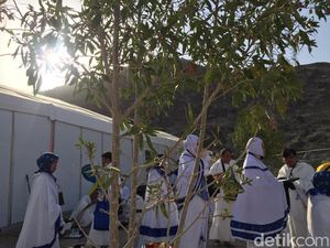 Alhamdulillah! Seluruh Jemaah Haji Indonesia Tinggalkan Muzdalifah, Kini Semua Sudah di Mina