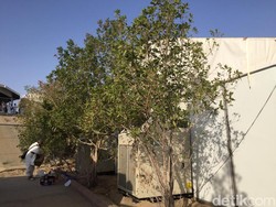 Tenda Arafah Haji Khusus Arminareka, Tiduran Berasa Sultan