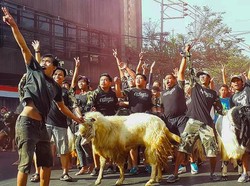 Mengenal Tradisi Arak-arakan Kambing Layaknya Karnaval di Kota Malang