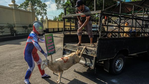 Unik, Ultraman Berbagi Hewan Kurban di Solo