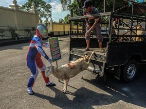 Unik, Ultraman Berbagi Hewan Kurban di Solo