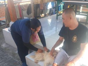Distan Keliling 4 Banjar di Denpasar Vaksinasi Rabies 548 Anjing Distan Keliling 4 Banjar di Denpasar Vaksinasi Rabies 548 Anjing
