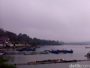 5 Ton Ikan di Waduk Darma Kuningan Mati Mendadak
