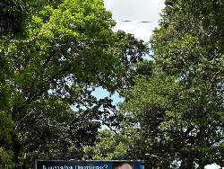 Viral! Billboard Nicholas Saputra Buat Heboh Netizen Bandung