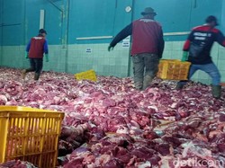 Kampung Krajan Banjarnegara Banjir Daging, 327 Hewan Kurban Dipotong