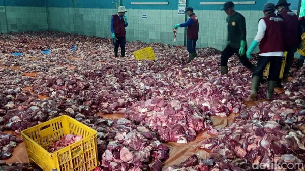 Potret Aula Kampung Krajan Banjarnegara Bak Lautan Daging Kurban