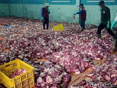 Potret Aula Kampung Krajan Banjarnegara Bak Lautan Daging Kurban