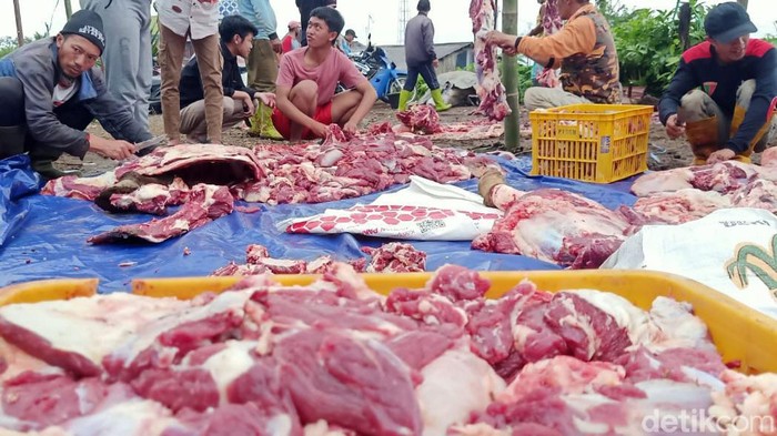 Penampakan daging binatang kurban menumpuk dan proses penyembelihan distribusi di Dusun Krajan Desa Batur, Banjarnegara.