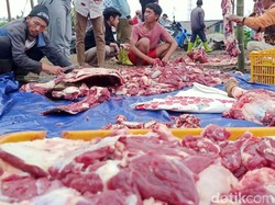 7 Cara Menyimpan Daging Kurban agar Tahan Lama dan Tetap Segar