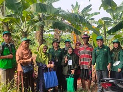 Kementan Lakukan Supervisi Sensus Pertanian di Sentra Tanaman Biofarmaka