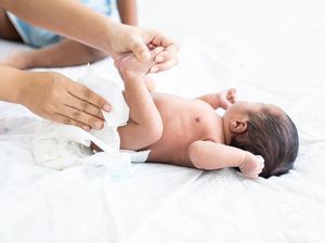 Geger! Anjing Jilat-jilat Kardus di Tong Sampah, Ternyata Ada Bayi Laki-laki