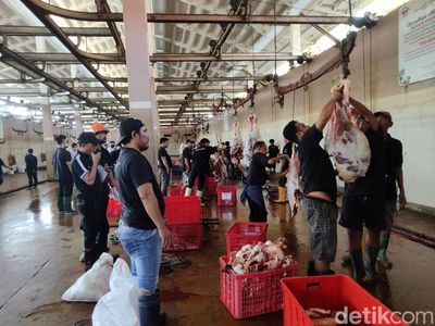Sibuknya Pekerja RPH Surabaya di Hari Pertama Penyembelihan Hewan Kurban