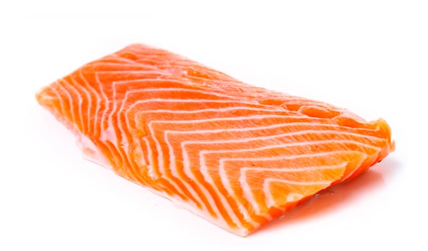 Salmon