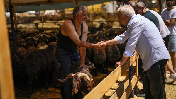 Uniknya Tawar Menawar Harga di Festival Kurban Turki