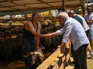 Uniknya Tawar Menawar Harga di Festival Kurban Turki