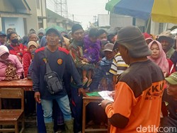 Melimpah! Daging Kurban Kampung Krajan Dikirim ke Magelang-Cilacap
