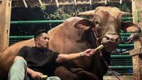 10 Momen Irfan Hakim Bersama Golden dan Wariso Sebelum Disembelih