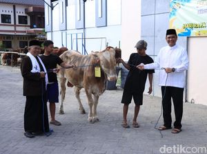 Polisi Serahkan 18 Sapi-28 Kambing ke Ponpes hingga Masjid di Bojonegoro Polisi Serahkan 18 Sapi-28 Kambing ke Ponpes hingga Masjid di Bojonegoro