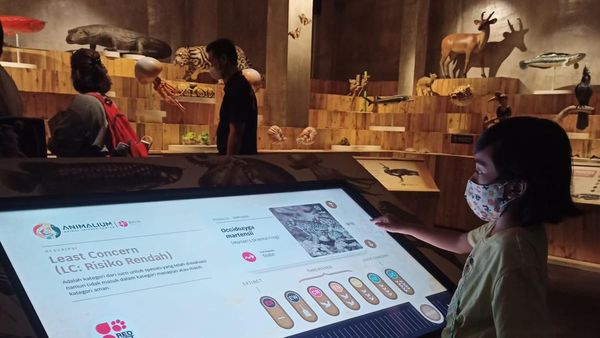 Yuk, Rekreasi Sambil Belajar di Animalium BRIN Bogor