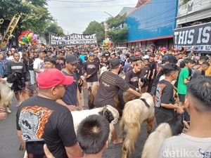 Meriahnya Tradisi Arak-arakan Hewan Kurban Idul Adha di Kota Malang