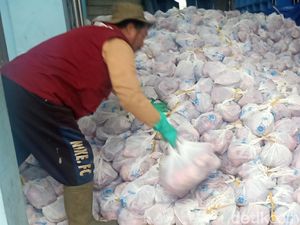 Banjir Daging! Desa Batur Banjarnegara Kurban 189 Sapi-416 Kambing Tahun Ini Banjir Daging! Desa Batur Banjarnegara Kurban 189 Sapi-416 Kambing Tahun Ini