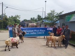 Hutama Karya Salurkan Ratusan Hewan Kurban ke Sejumlah Wilayah RI