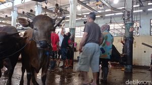 Kesibukan di RPH Ciroyom Bandung Saat Iduladha