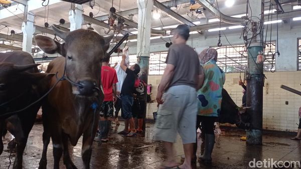 Kesibukan di RPH Ciroyom Bandung Saat Iduladha