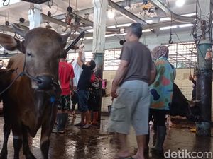 Kesibukan di RPH Ciroyom Bandung Saat Iduladha