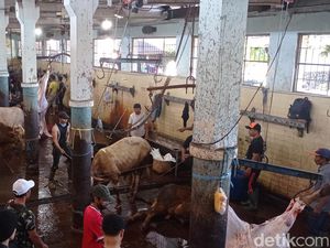 Hiruk Pikuk di RPH Bandung Saat Iduladha 1444 H Hiruk Pikuk di RPH Bandung Saat Iduladha 1444 H