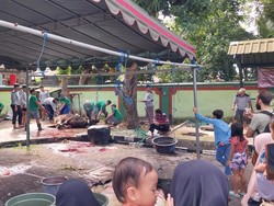 4 Masjid di Denpasar Potong Ratusan Hewan Kurban, Terberat 700 Kilogram