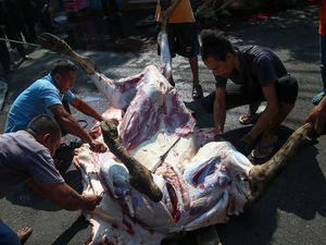 Indofood Salurkan Bantuan Hewan Kurban